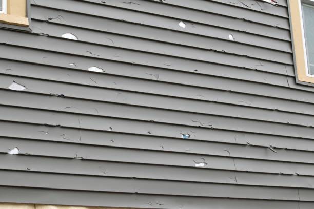 Affordable Siding Repair and Maintenance Services in West Pittston, PA